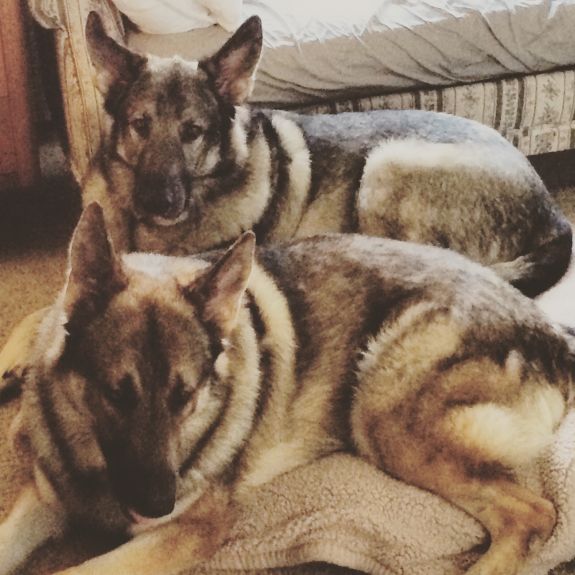 Zeus hanging out with his brother